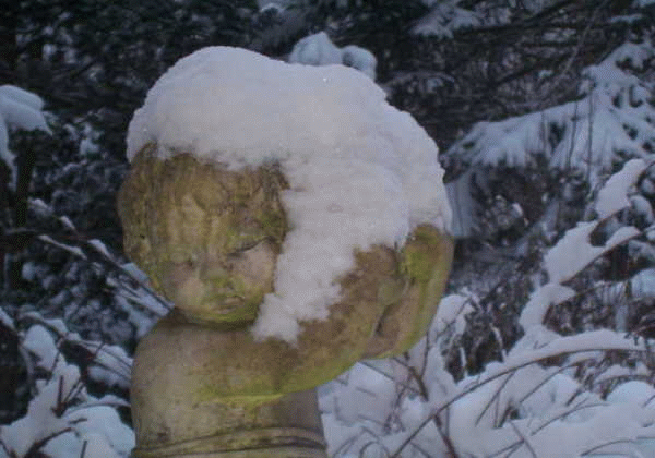Schnee