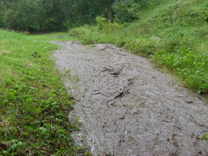 Hochwasser am 20.8.08 ca. 16 Uhr