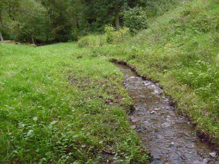 Normalwasser ein paar Tage spter